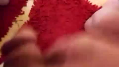 Snapshot of newbookwriter chatting on December 31, 5:55 am BookWriter online show from December 31, 5:55 am