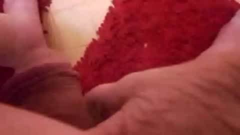 Snapshot of newbookwriter chatting on January 8, 6:52 am BookWriter online show from January 8, 6:52 am