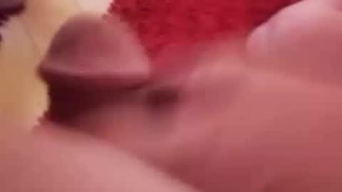 Snapshot of newbookwriter chatting on January 14, 7:06 am BookWriter online show from January 14, 7:06 am