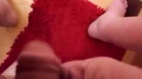 Snapshot of newbookwriter chatting on January 22, 6:52 am BookWriter online show from January 22, 6:52 am