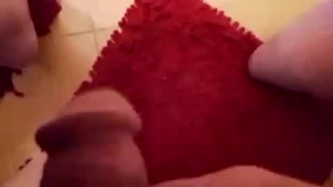 Snapshot of newbookwriter chatting on February 1, 7:15 am BookWriter online show from February 1, 7:15 am