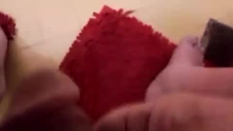 Snapshot of newbookwriter chatting on February 12, 7:02 am BookWriter online show from February 12, 7:02 am