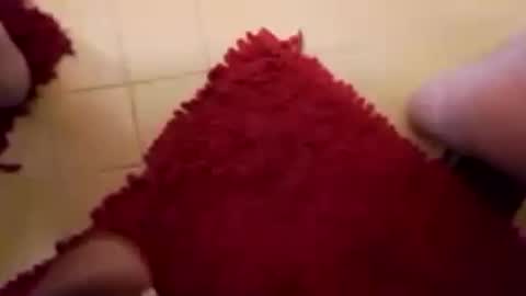 Snapshot of newbookwriter chatting on February 15, 7:38 am BookWriter online show from February 15, 7:38 am