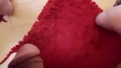 Snapshot of newbookwriter chatting on February 23, 6:49 am BookWriter online show from February 23, 6:49 am