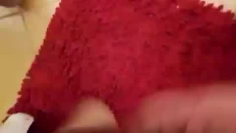 Snapshot of newbookwriter chatting on September 14, 4:55 am BookWriter online show from September 14, 4:55 am