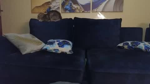 Lilly online show from February 22, 9:48 pm