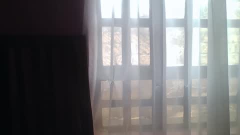 Lilly online show from November 14, 10:14 am