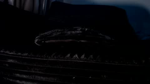 Snapshot of nickandmeg chatting on September 21, 6:20 pm Cakedcouple OF - Yourtattedcutie qurlynfit online show from September 21, 6:20 pm