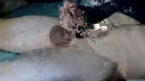 Snapshot of nickanonymous1034 chatting on October 12, 11:20 am Nick online show from October 12, 11:20 am