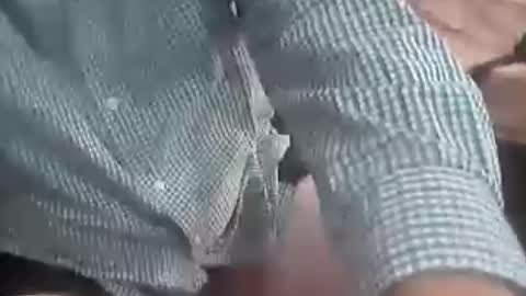 TheCock online show from August 6, 2:02 am