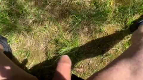 nicle12 online show from May 2, 10:09 am