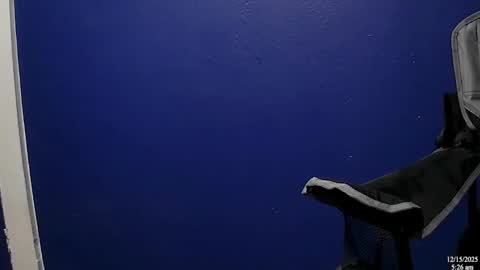 NicoG online show from December 15, 11:25 am