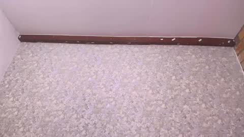 Nicol online show from December 27, 7:14 pm