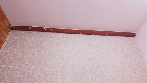 Nicol online show from December 28, 7:22 pm