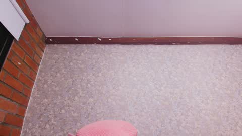 Nicol online show from December 31, 1:15 am