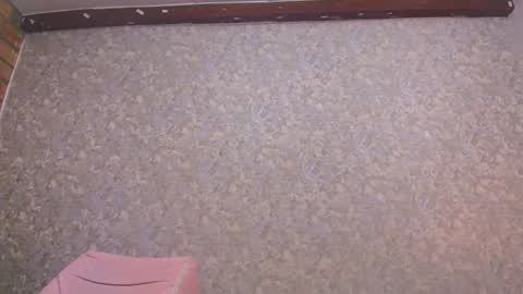 Nicol online show from January 10, 7:21 pm