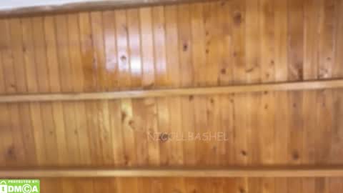 Nicoll  Independent model online show from November 17, 5:13 am