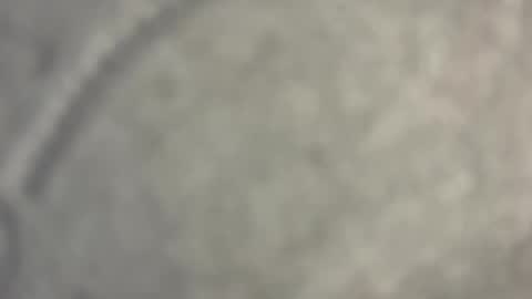 Nicoll  Independent model online show from April 15, 8:43 am