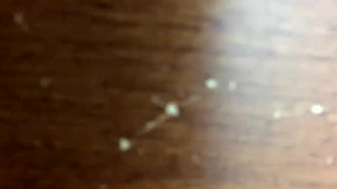 nightmoves1970 online show from October 14, 2:45 am