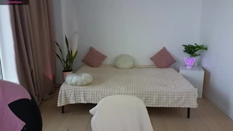 Nika light online show from November 18, 11:14 am