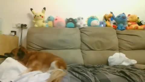 Brian and Logan Brogan online show from April 17, 7:17 pm