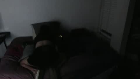 nikkigamer online show from November 30, 11:47 am