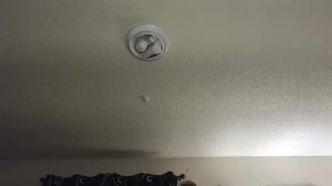 Nikki Mastersgirl1091 online show from November 27, 12:29 pm