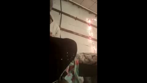 nillapuddin2 online show from January 19, 12:47 am