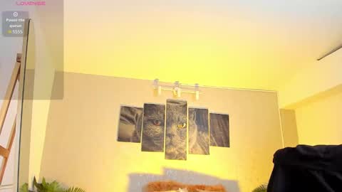 Snapshot of nils_saint chatting on February 7, 4:49 am Nils online show from February 7, 4:49 am