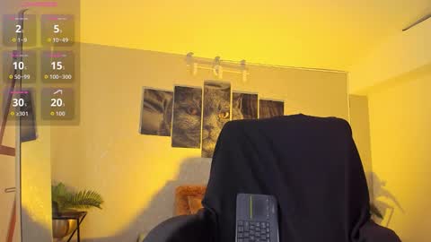 Snapshot of nils_saint chatting on February 11, 2:49 am Nils online show from February 11, 2:49 am