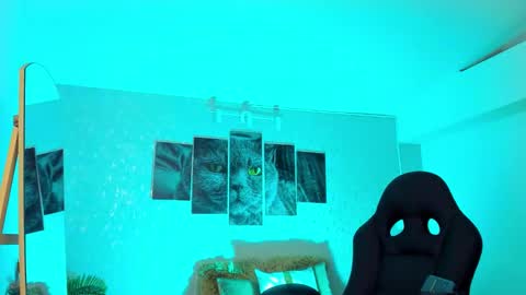 Snapshot of nils_saint chatting on February 20, 6:48 am Nils online show from February 20, 6:48 am