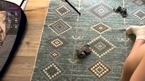 Jennet online show from December 2, 7:49 pm