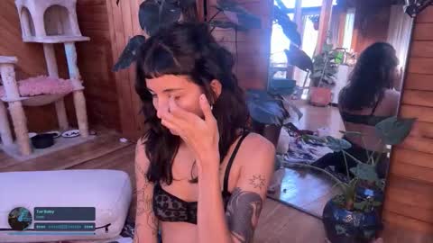 Nina.  online show from November 1, 9:39 pm