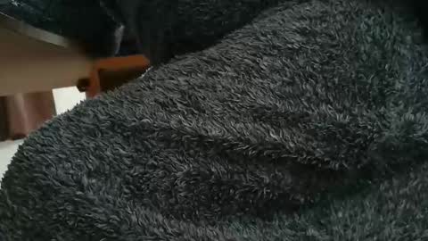 nineinchhard online show from October 28, 10:19 am