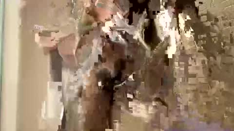 nnm110 online show from February 9, 9:37 am