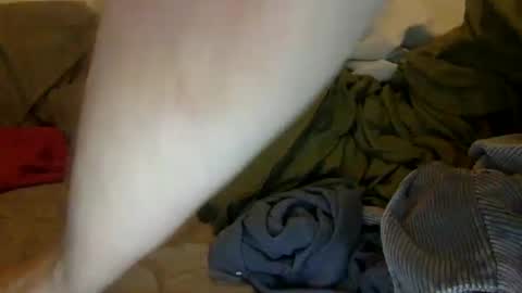 Noah Warren online show from September 28, 1:16 pm