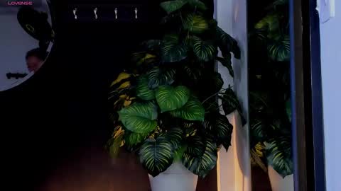 Noah  online show from March 25, 3:23 am