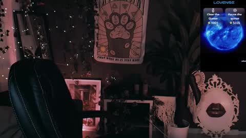 Snapshot of noah_elmer chatting on February 26, 3:11 pm REAL name LiaDM are always open online show from February 26, 3:11 pm