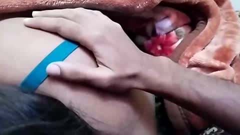 sim  nib online show from December 26, 6:52 am