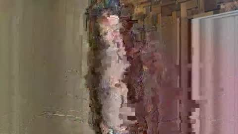 NoodsOverNudes online show from May 26, 2:46 pm