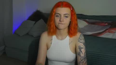 Nova online show from September 13, 7:35 pm