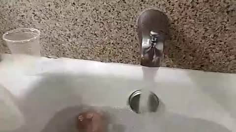 Snapshot of nowornever669 chatting on September 16, 2:29 pm CLOUDYKINF online show from September 16, 2:29 pm