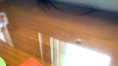 nudistadepilado online show from September 13, 10:04 am