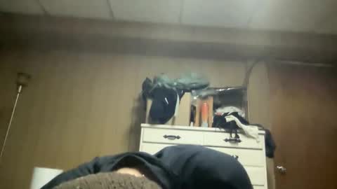 harvestmoon online show from March 22, 5:55 am