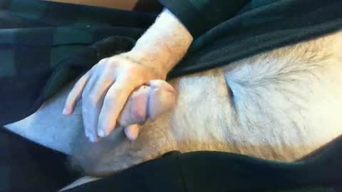 o269x2 online show from June 4, 10:21 am