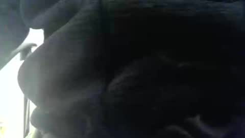 obahiro823844 online show from December 17, 12:55 pm