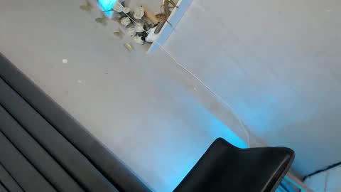 Snapshot of obeymycurves chatting on January 11, 2:49 am obeymycurves online show from January 11, 2:49 am