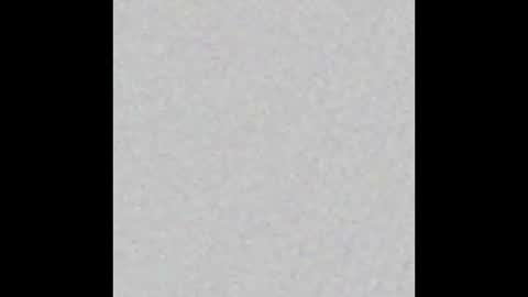 Obsidian stallion online show from October 9, 2:53 am