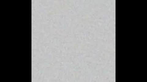 Obsidian stallion online show from February 9, 8:07 am