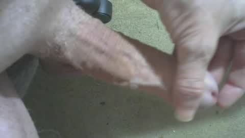 Snapshot of odentonman4fun chatting on June 20, 4:04 am odentonman4fun online show from June 20, 4:04 am